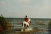 2Ritt in den Bodden.JPG (48295 Byte)