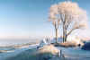 Seeblick im Winter.JPG (77658 Byte)